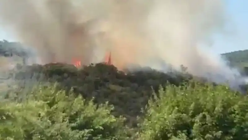 İstanbul’da Yangın Alarmı: Vatandaşlar Acil Olarak Tahliye Edildi