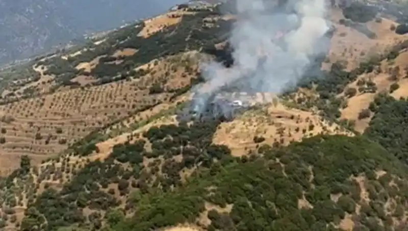 Aydın'da Zeytinlik Yangınının Peşinden Gelen Felaket Tabloları