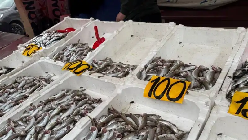 Balık Fiyatları Düşerken Restoranlar Bedava Balık İkram Ediyor