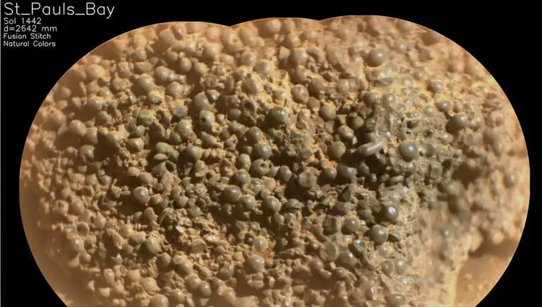 Mars'ta Gizemli "Örümcek Yumurtaları" Keşfi: Bilim Dünyasını Şaşkına Çeviriyor