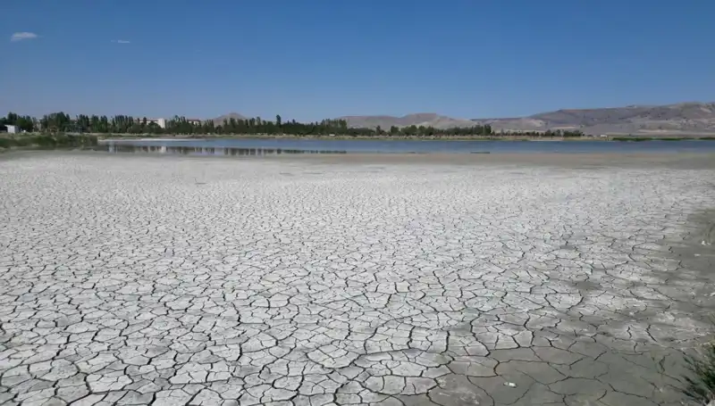 Ulaş Gölü'nde Su Seviyesi Alarm Verdi: Cratlar Tehlikesi