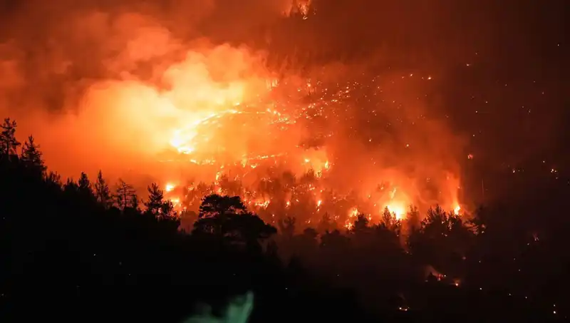 Bursa-Balıkesir Sınırındaki Orman Yangını: Son Durum ve Önlemler