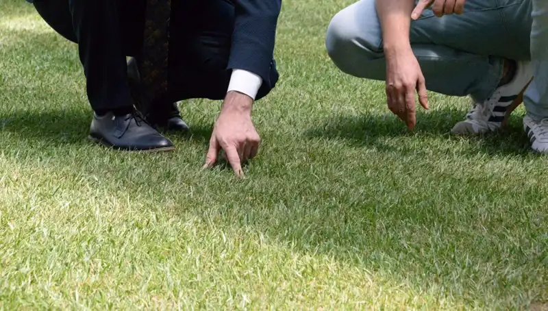 Tartışma Yaratan Stadyum Zemini: 10 Gün İçinde Tamamlanacak Mı?