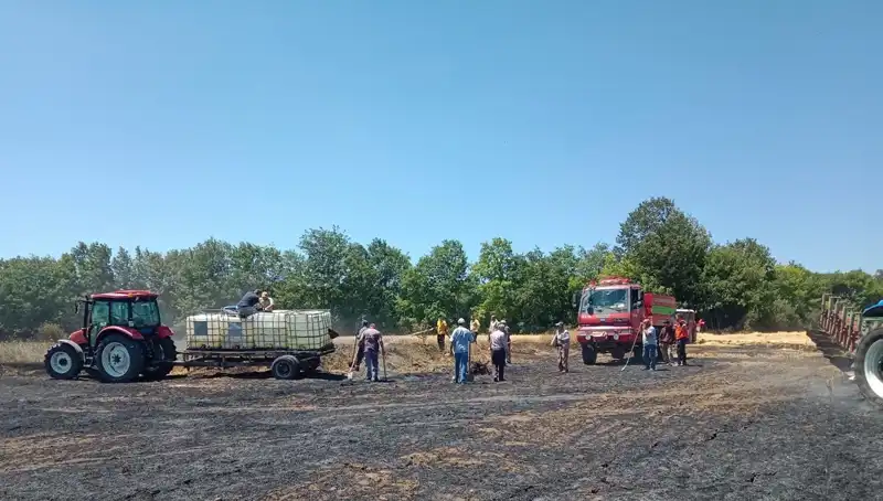 Buğday Tarlasındaki Yangın: 10 Dönüm Zarar Gördü ve Ekonomi Etkilendi
