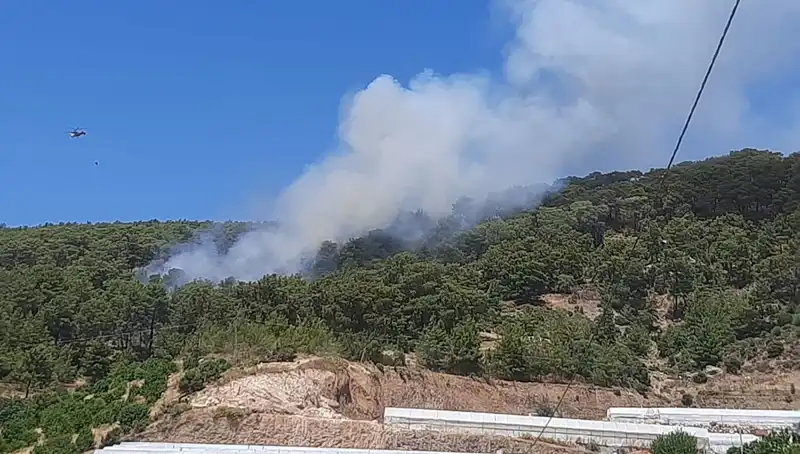 Kumluca'da Orman Yangını: Ekipler Seferber Oldu, Bölgeye Ulaşım Zorlaştı