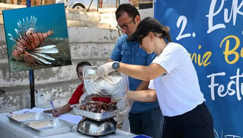 Antalya'da İstilacı Aslan Balığı Avlama Yarışması: Doğa Koruma Mücadelesi