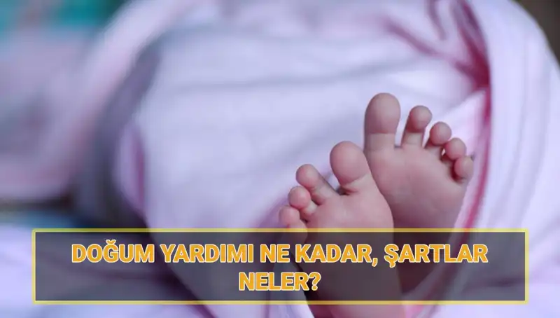 2025'te Doğum Parası ve Çocuk Parası Başvuru Şartları: Bilmeniz Gerekenler