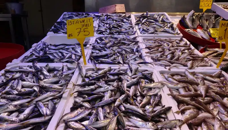 Balık Sezonu Sona Ererken Ne Yapmalı? Son Fırsatlar ve Alternatifler