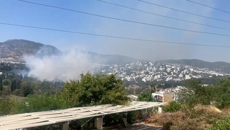 Muğla'daki Orman Yangınları: Kontrol Altına Alındı, Ancak Tehlike Sürüyor