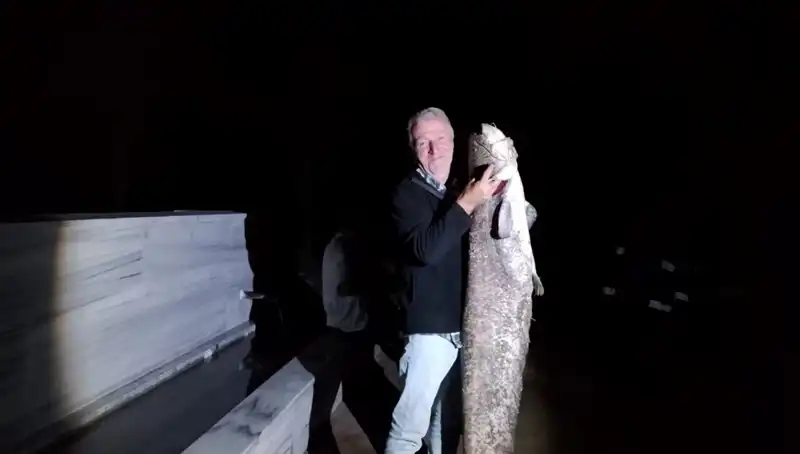 Barajda Olay Yaratan Balık: 40 Kilo Ağırlığında Ne Olacak?