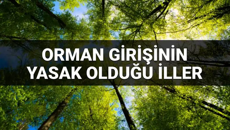 2025'te Hangi İllerde Ormana Girmek Yasaklanacak?