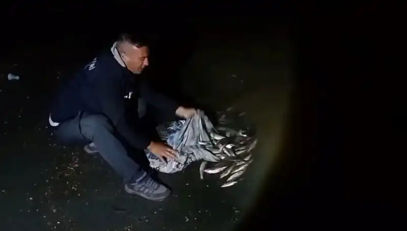Bir Ton İnci Kefali Yakalandı: Balıkçılar Sevinçle Dolu!