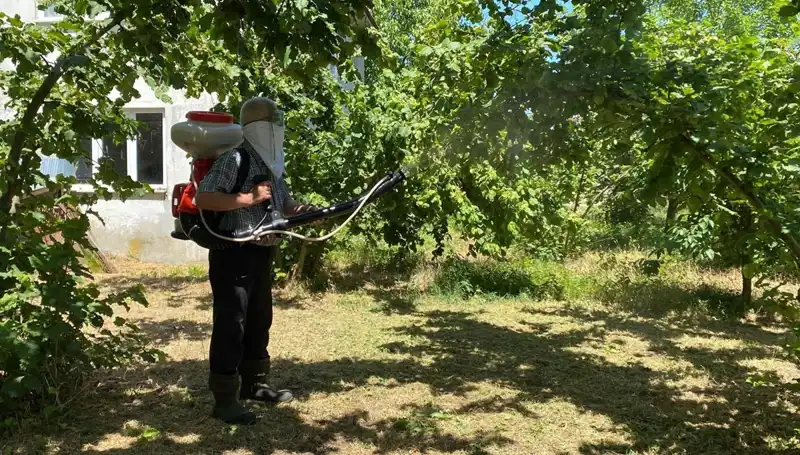 Çiftçinin Umudu: Kükürt ve Samuray Arısının Mücadelesi