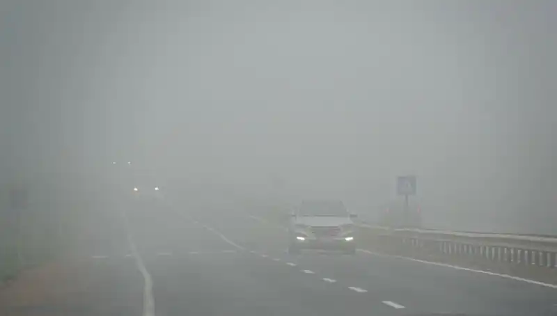 Tekirdağ'da Görüş Mesafesi Sıfıra İndi: Yoğun Sis Etkili!