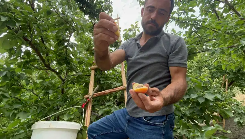 Lezzetin Sırları: 50 TL ile 70 TL Arasında Satılan Damak Çatlatan Ürünler