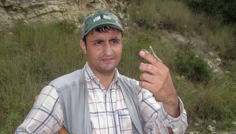 Yeni Keşfedilen Böcek Türü Sosyal Medyada Tartışmalara Neden Oldu