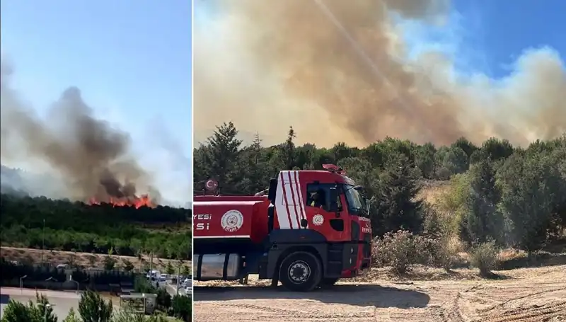 Gebze Orman Yangını: Doğa Felaketi ve Sorumluluklar